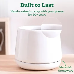 Monsoon Medley Ceramic Planter