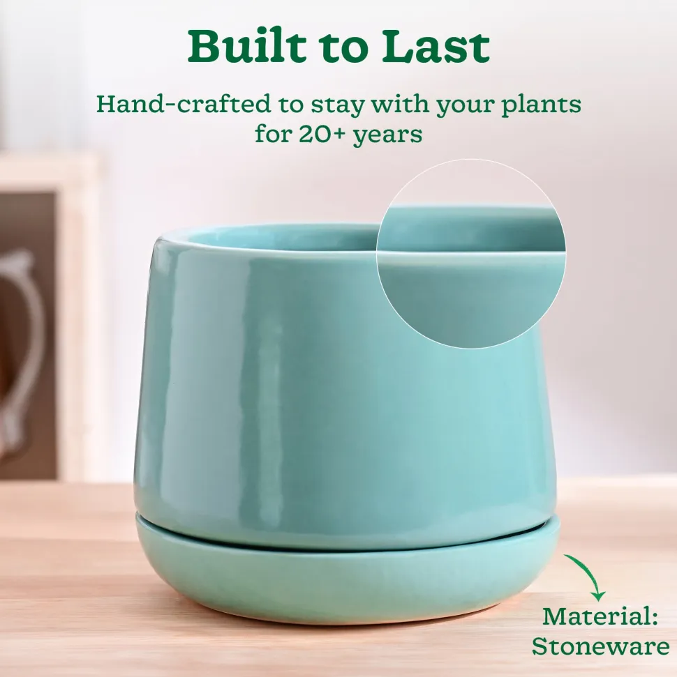 Monsoon Medley Ceramic Planter
