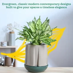 Moonlight Drama Ceramic Planter