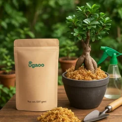 Moss 500 g