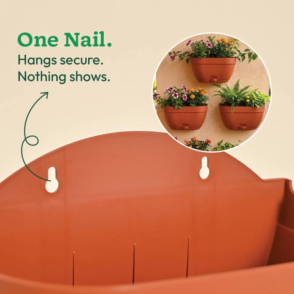 Mounta Wall Planter:- Set of 5
