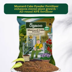 Mustard Cake Powder