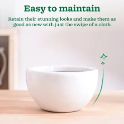Nature's Hum Fat Ceramic Planter