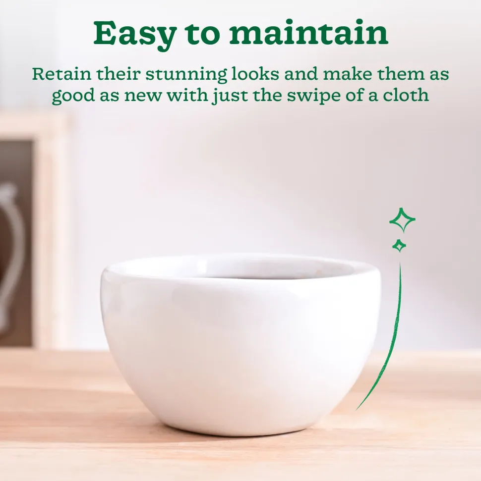 Nature's Hum Fat Ceramic Planter