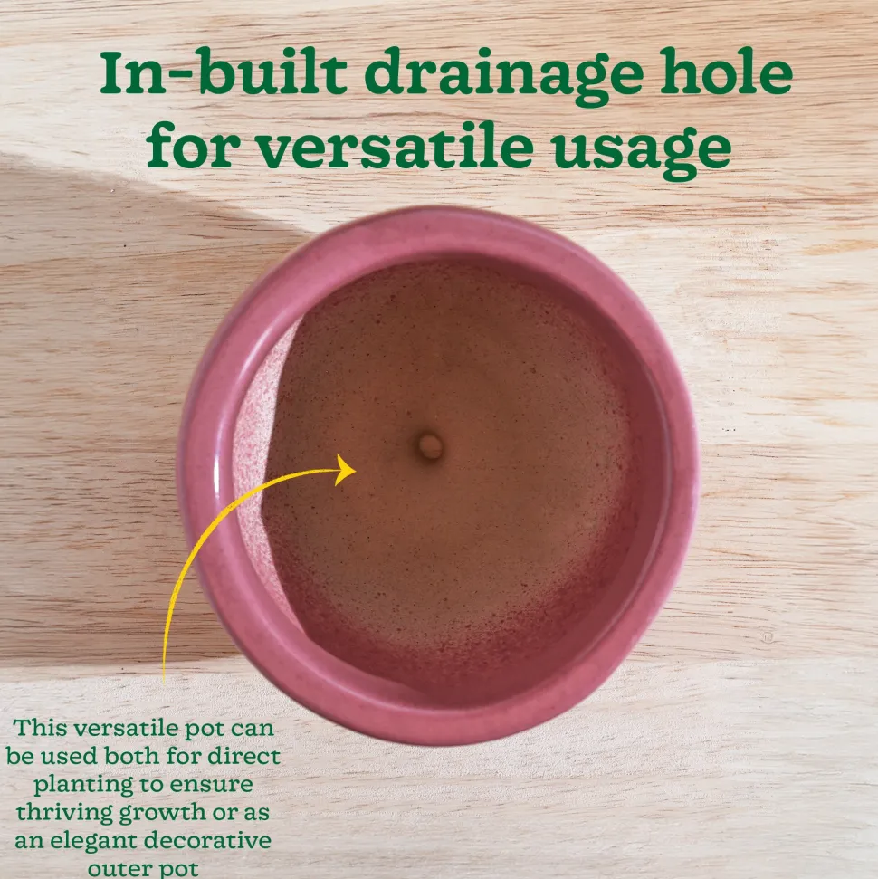 Nature's Hum Fat Ceramic Planter