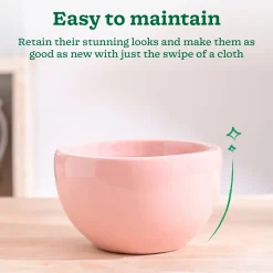 Nature's Hum Fat Ceramic Planter