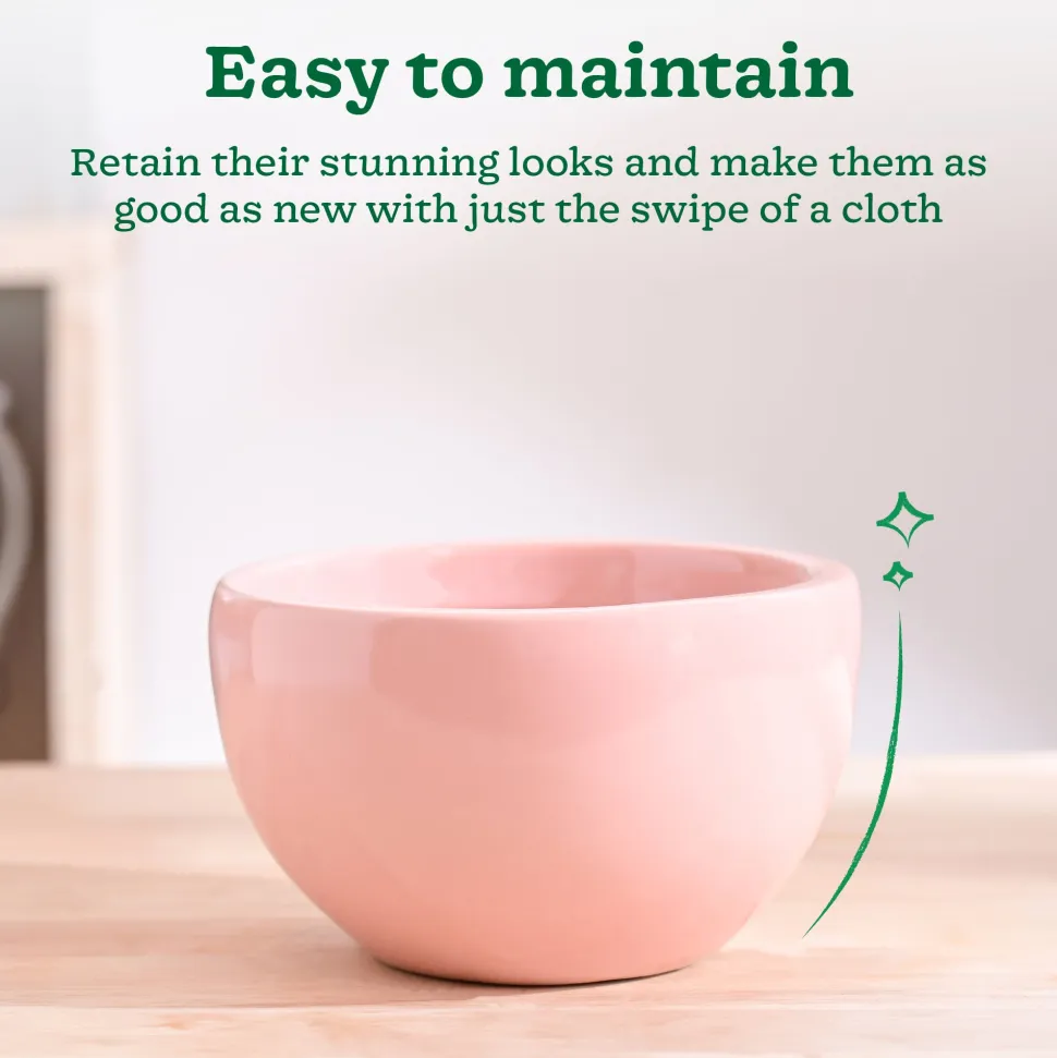 Nature's Hum Fat Ceramic Planter