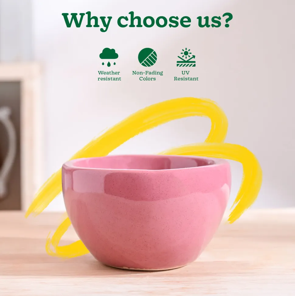 Nature's Hum Fat Ceramic Planter