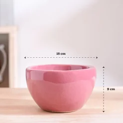 Nature's Hum Fat Ceramic Planter