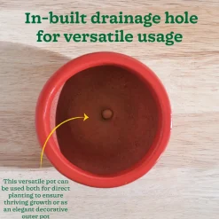 Nature's Hum Fat Ceramic Planter