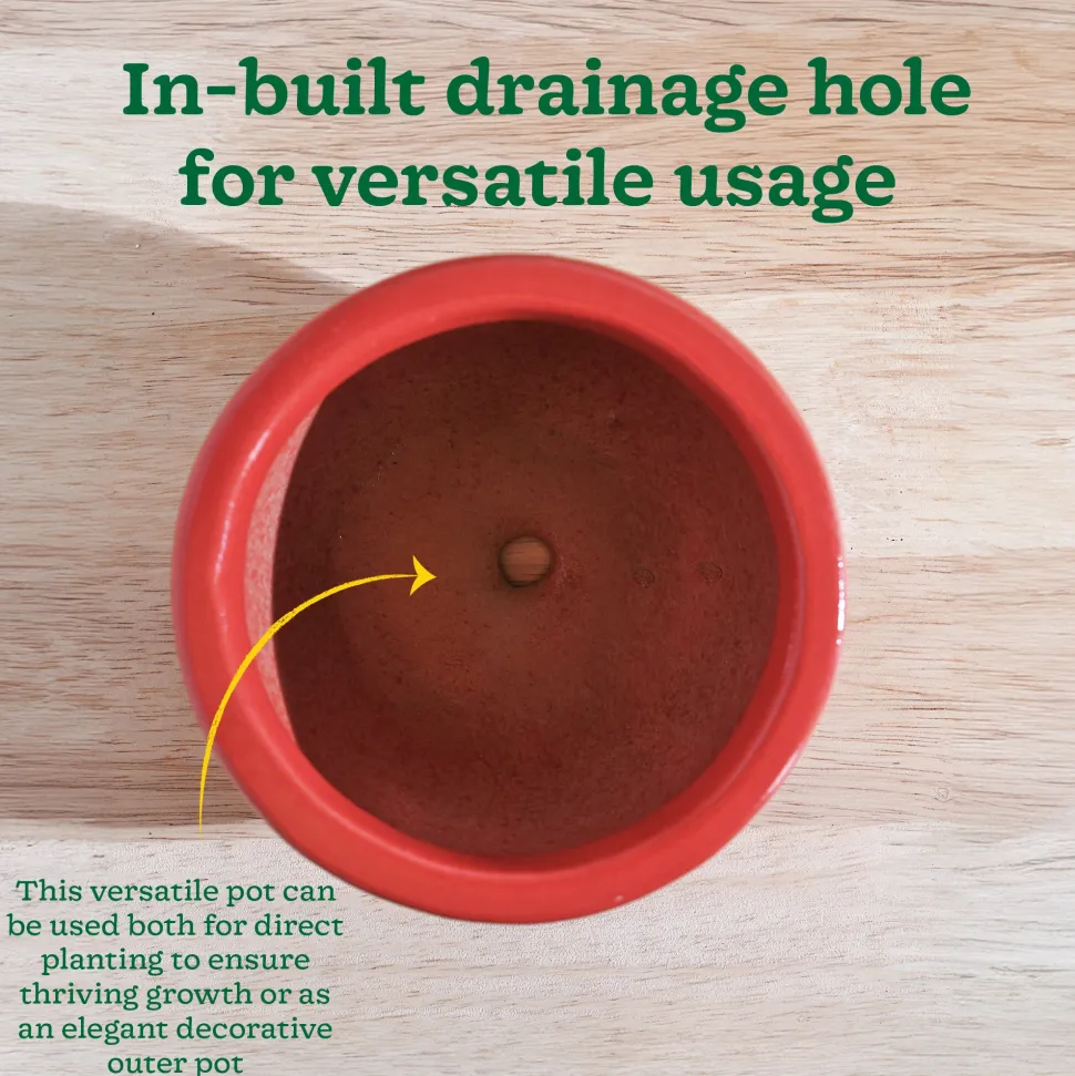 Nature's Hum Fat Ceramic Planter