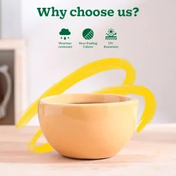 Nature's Hum Fat Ceramic Planter