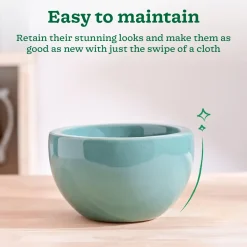 Nature's Hum Fat Ceramic Planter