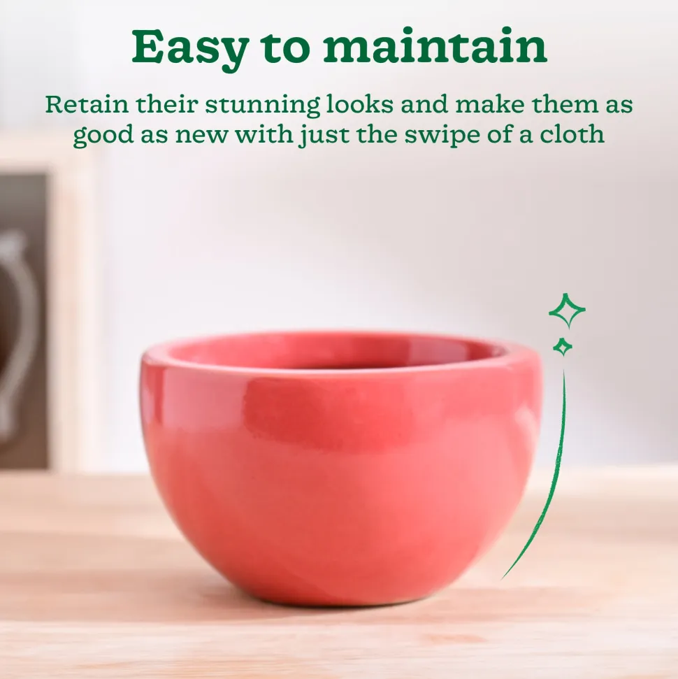 Nature's Hum Fat Ceramic Planter