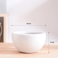 Nature's Hum Fat Ceramic Planter