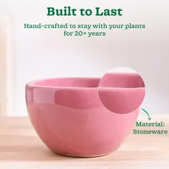 Nature's Hum Fat Ceramic Planter