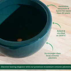 Nature's Hum Fat Ceramic Planter