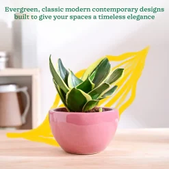 Nature's Hum Fat Ceramic Planter