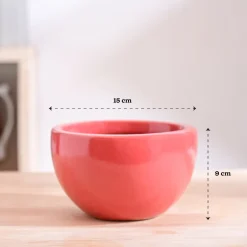 Nature's Hum Fat Ceramic Planter