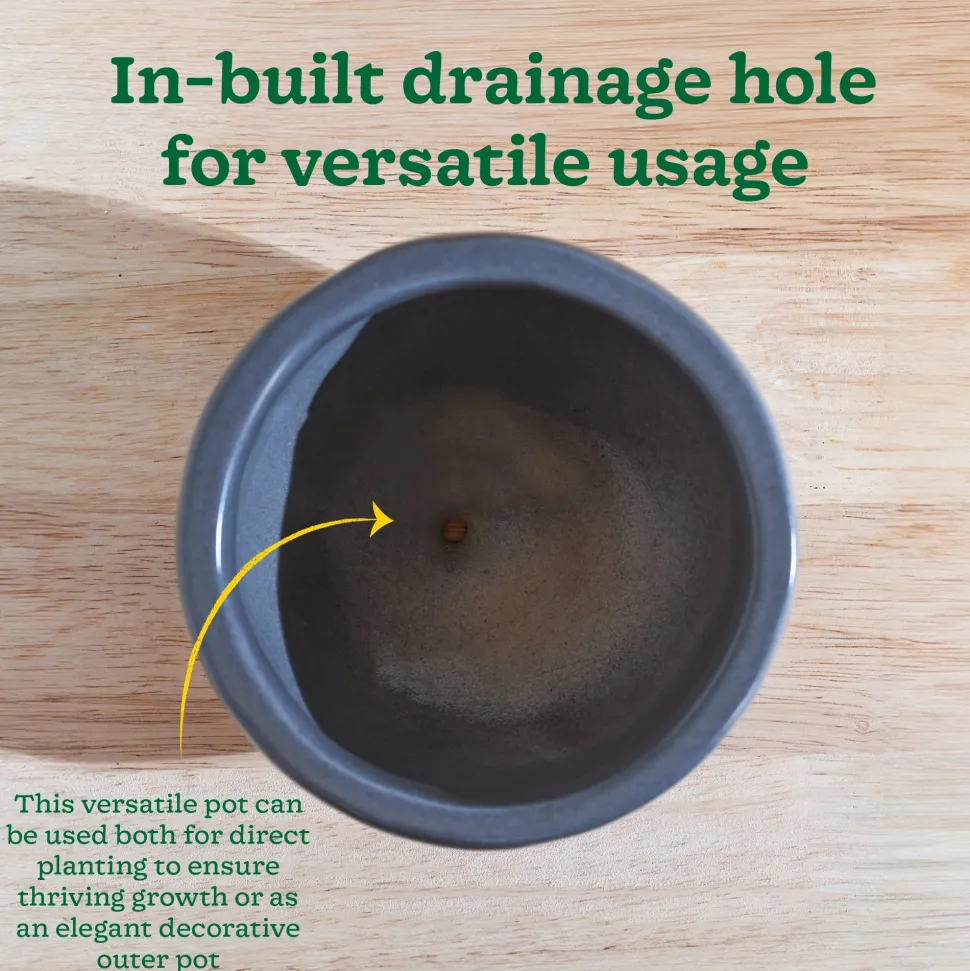 Nature's Hum Fat Ceramic Planter