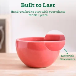 Nature's Hum Fat Ceramic Planter