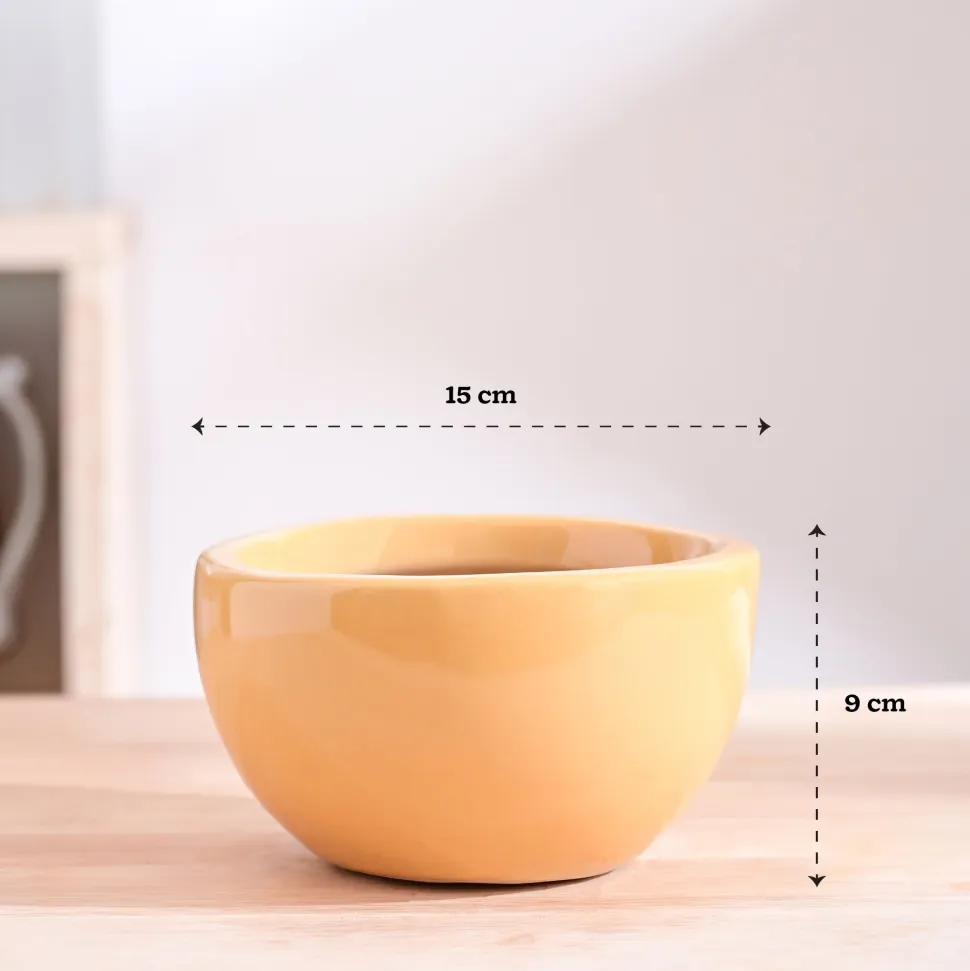 Nature's Hum Fat Ceramic Planter