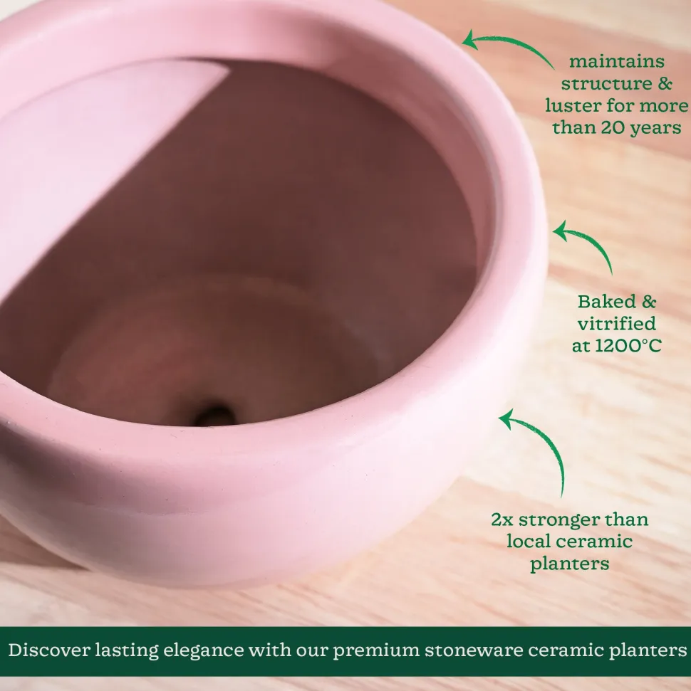 Nature's Hum Fat Ceramic Planter