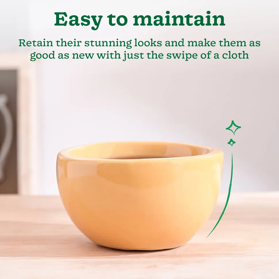 Nature's Hum Fat Ceramic Planter