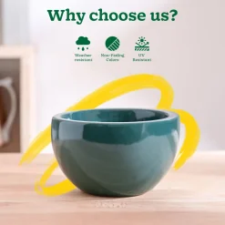 Nature's Hum Fat Ceramic Planter