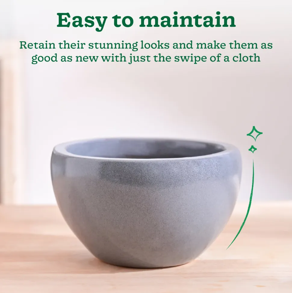 Nature's Hum Fat Ceramic Planter