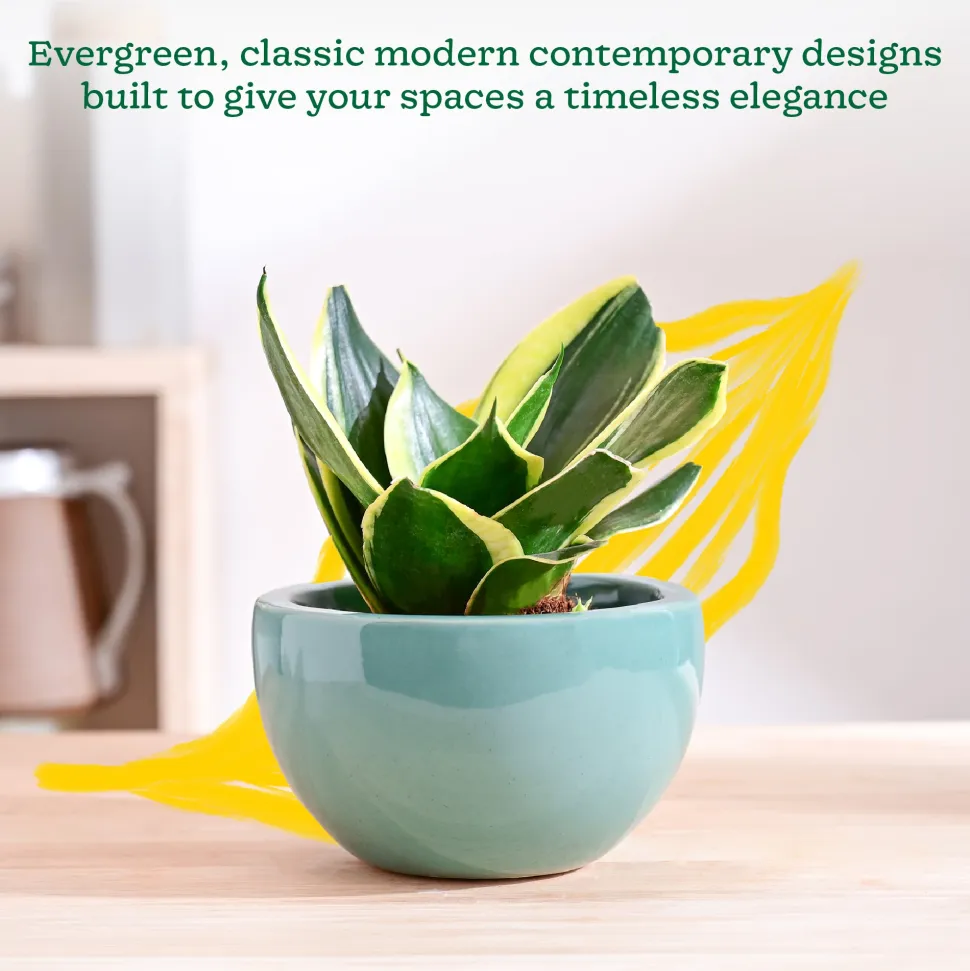 Nature's Hum Fat Ceramic Planter