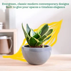 Nature's Hum Fat Ceramic Planter