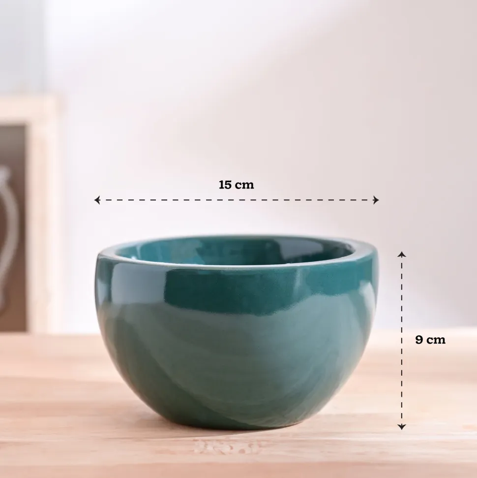 Nature's Hum Fat Ceramic Planter