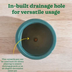 Nature's Hum Fat Ceramic Planter