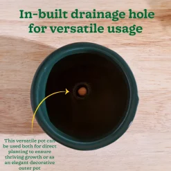 Nature's Hum Fat Ceramic Planter