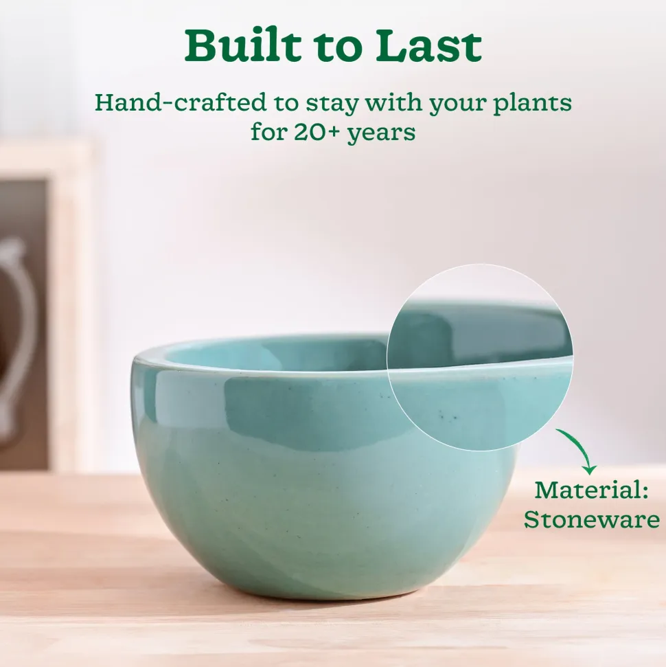 Nature's Hum Fat Ceramic Planter