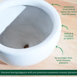 Nature's Hum Fat Ceramic Planter