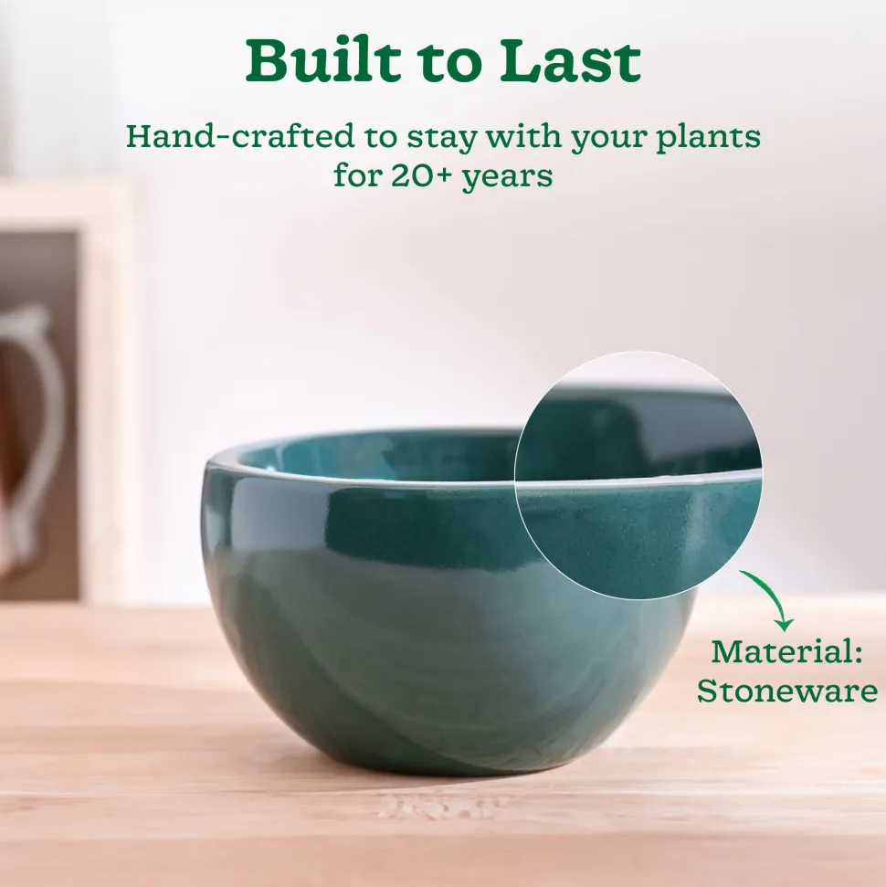 Nature's Hum Fat Ceramic Planter