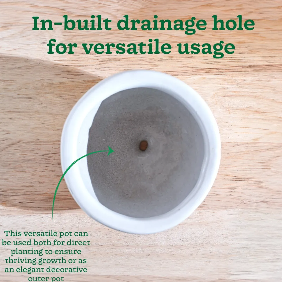 Nature's Hum Fat Ceramic Planter