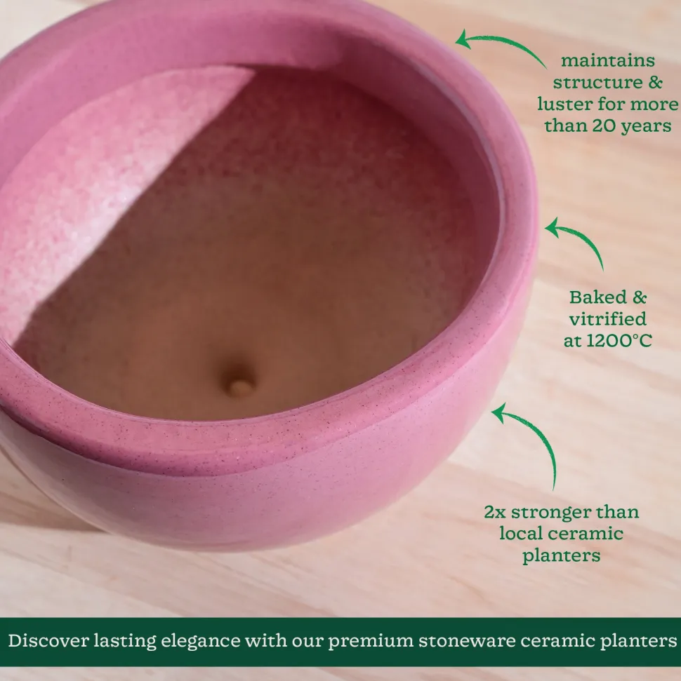 Nature's Hum Fat Ceramic Planter