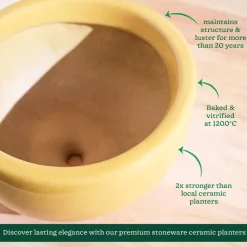 Nature's Hum Fat Ceramic Planter
