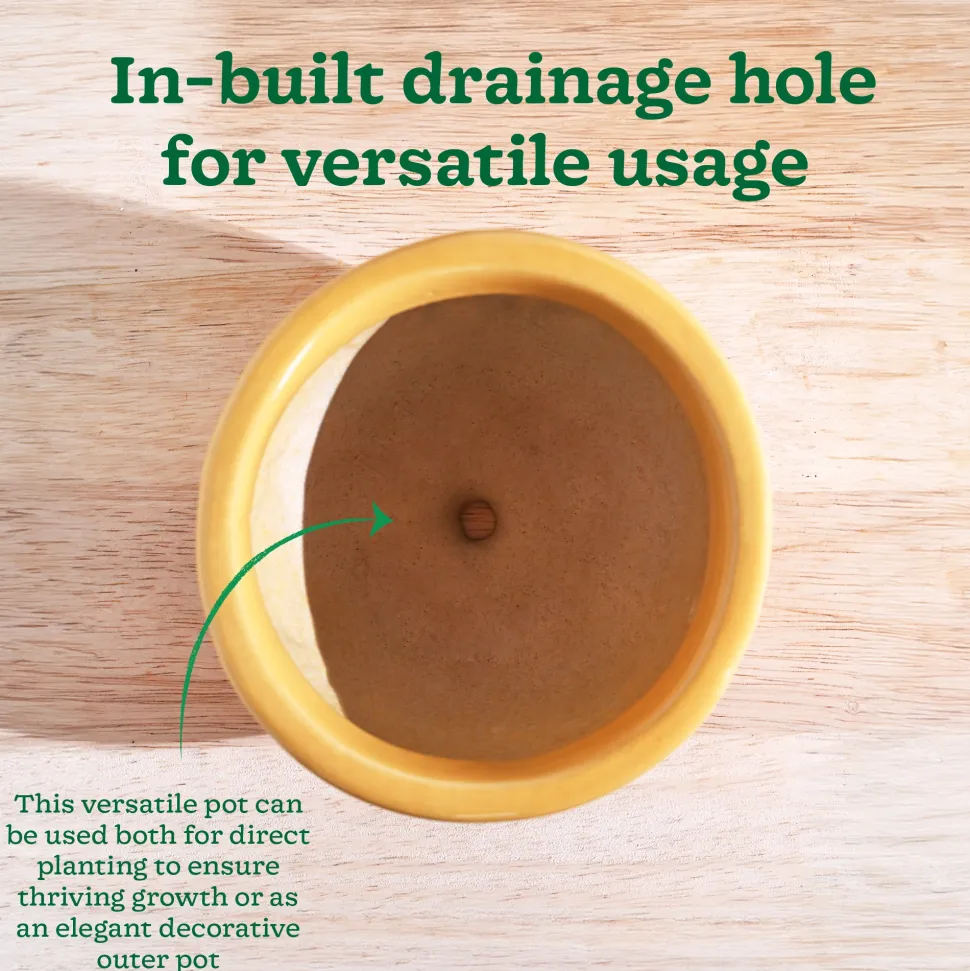 Nature's Hum Fat Ceramic Planter