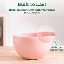 Nature's Hum Fat Ceramic Planter