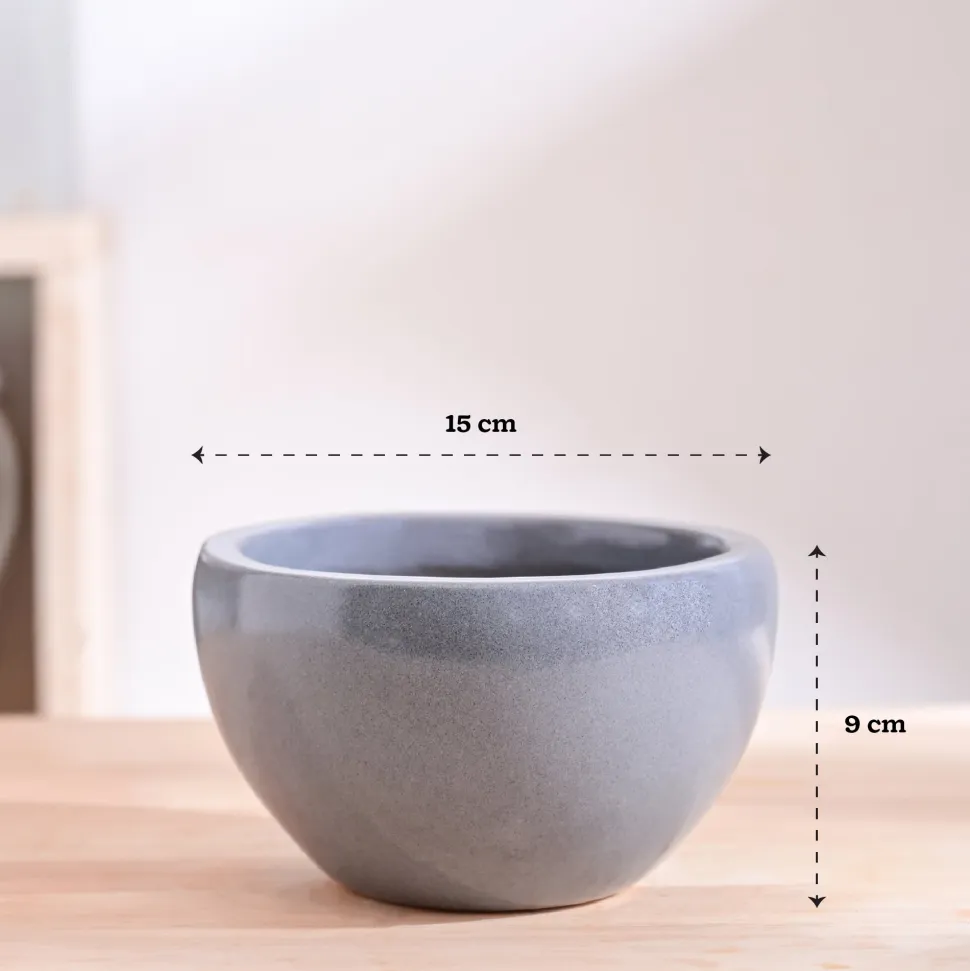 Nature's Hum Fat Ceramic Planter