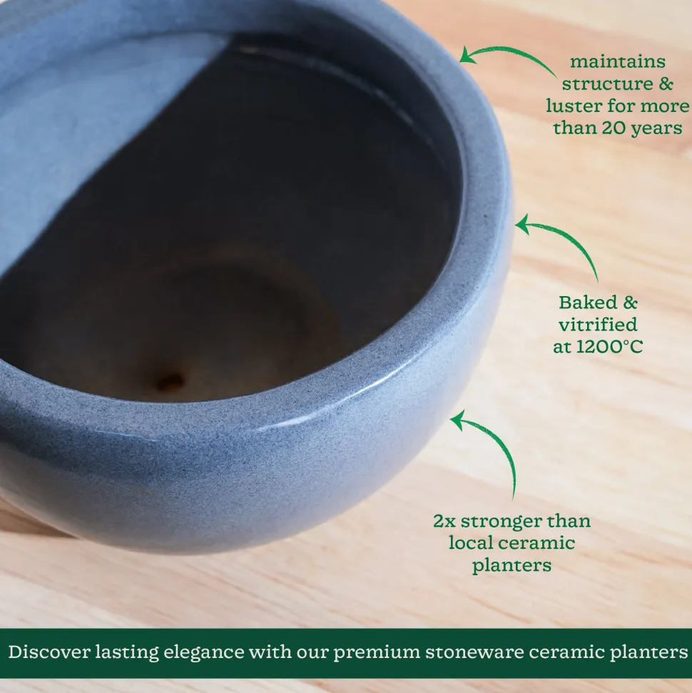 Nature's Hum Fat Ceramic Planter