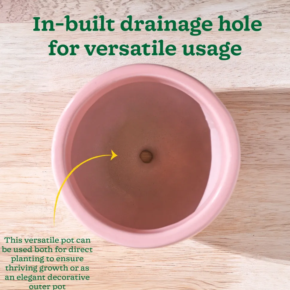 Nature's Hum Fat Ceramic Planter