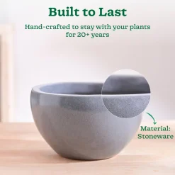Nature's Hum Fat Ceramic Planter