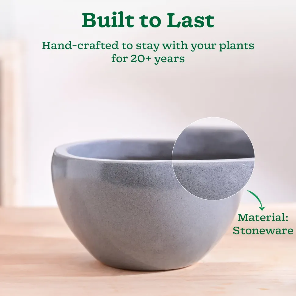 Nature's Hum Fat Ceramic Planter