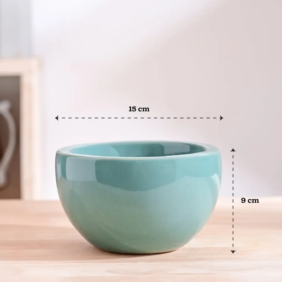 Nature's Hum Fat Ceramic Planter