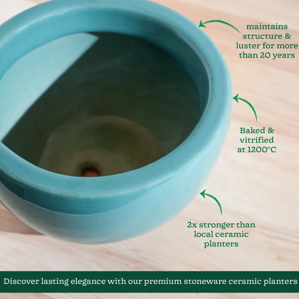 Nature's Hum Fat Ceramic Planter